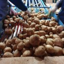 서영2농장 이미지