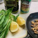 페스토(pasto) 티스토리
