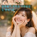 정진 행정사사무소 이미지