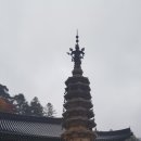 여주-1022 이미지