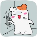 원조부안집동탄