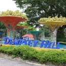 카페힐(CAFE HILL) 이미지