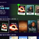 다큐앤아트 뉴시스