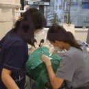 서울누가치과의원 이미지