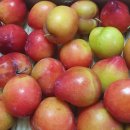 제경한의원 이미지