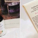 세기스템셀 이미지