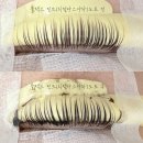 속눈썹하다