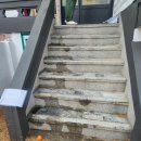 그루미송 이미지