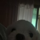데오월드 이미지