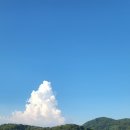 봉순게장 - 남동구 덕골로 98-7 | 봉순게장