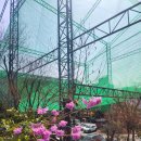 39 실내스크린골프연습장 이미지