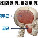 라인한의원 이미지
