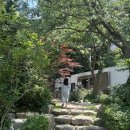 네이처독 | 서울 근교 양주_애견카페 네이처독 방문 후기