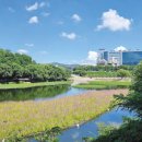 가락생태공원(1) 이미지