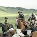 세인목장 이미지