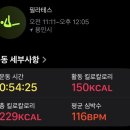 둡시네 5월 일상