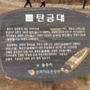탄금대궁도장 | 충청북도 가볼만한곳 충주 탄금대(애견동반 가능) 방문 후기