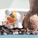 홈캣 네이버블로그
