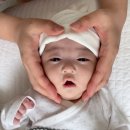8월 첫 번째_일상 기록, 일기는 생존에 도움이 된다