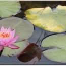 트레져 아일랜드 이미지