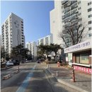 제일부동산중개사사무소 | 수원의 숨은 보석, 정자동 부동산의 만능 해결사 제일공인중개사사무소