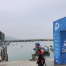 오르카수영 이미지