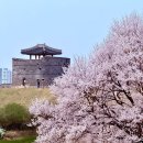 사임당 용인기흥지사
