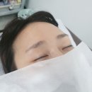 도반뷰티 눈썹 네이버블로그