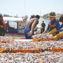 기장수산업협동조합 이미지