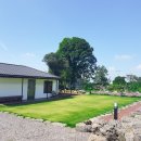 불란지스테이 이미지