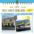 사하구-49 이미지