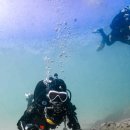 민트스쿠버 이미지