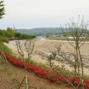 명당1리 경로당 이미지