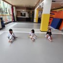 삼우 태권도 이미지