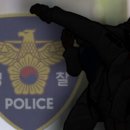 국가대표 올림픽 태권도 이미지