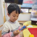 시완농장 Daum카페