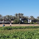 한국농장 이미지