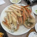 해양회대게센타 | 내돈내산 포항 죽도시장 대게거리 해양회대게센터