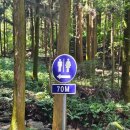 대한다원화장실 이미지