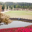 여주-0302 이미지