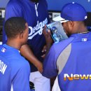 (주)버블디 이미지