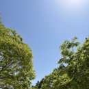 송도 해돋이공원 | 인천 소풍 피크닉 명소 추천 주말에 다녀온 송도 해돋이공원 후기 (애견동반 가능)