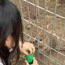 팀비씨알 | 썸머 크리스마스 시드니 day 2