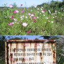 하시동2리 이미지