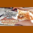 송탄시장약국 이미지