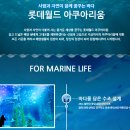 (주) 롯데월드 아쿠아리움 티스토리