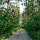 백담 새소리 펜션 이미지