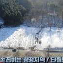 단월공인중개사사무소 네이버블로그