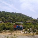 앵두펜션 이미지