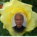 사뿐이즈려밟고